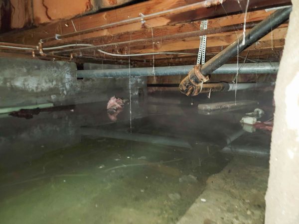 Cost of Crawlspace Drainage in Ashburn